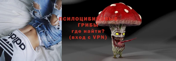 ГАЛЛЮЦИНОГЕННЫЕ ГРИБЫ Арсеньев