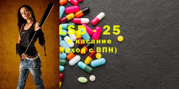 ГАЛЛЮЦИНОГЕННЫЕ ГРИБЫ Арсеньев