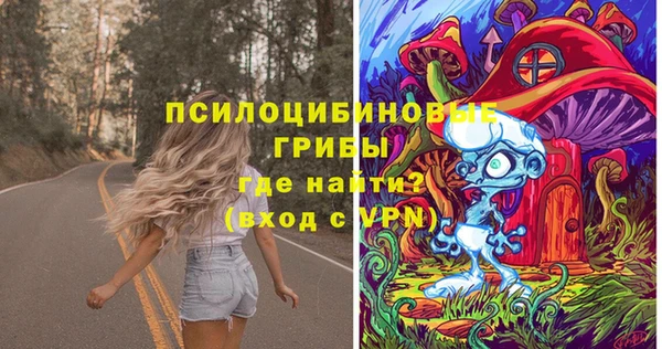 прущие крисы Армянск