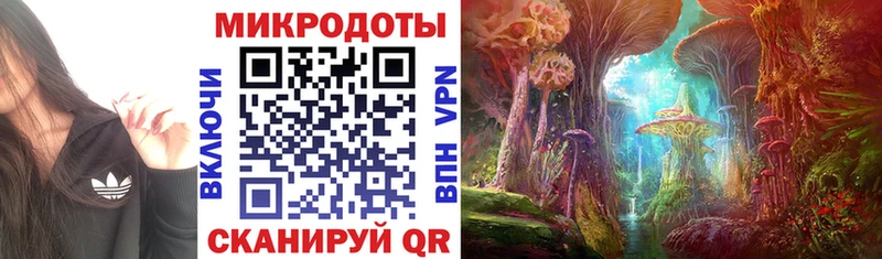гидра tor закладка Строитель Галлюциногенные грибы прущие грибы